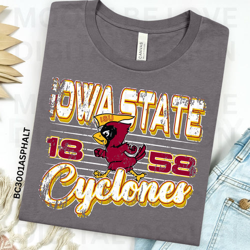 Retro Lines State DTF Transfer